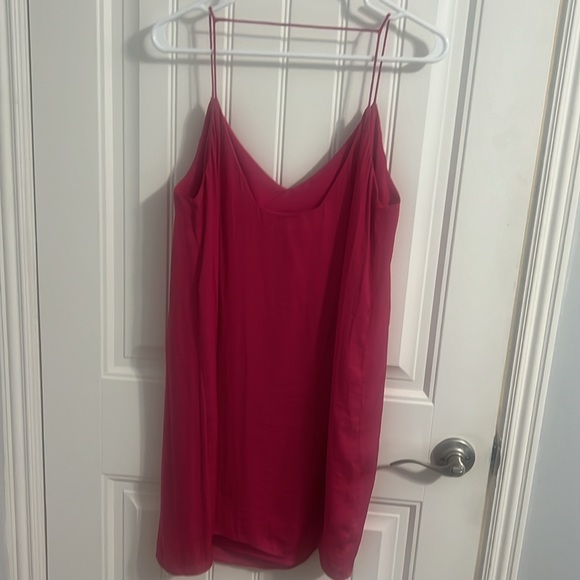 Naked Zebra Pink Slip Dress - Picture 4 of 4